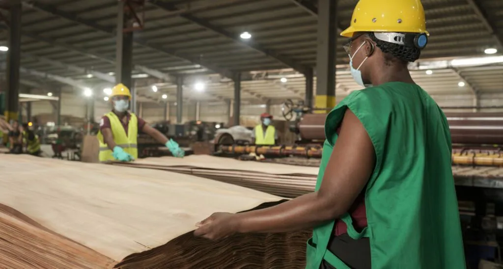 Young women with sheets of plywood in a factory in the Gabon Special Economic Zone.