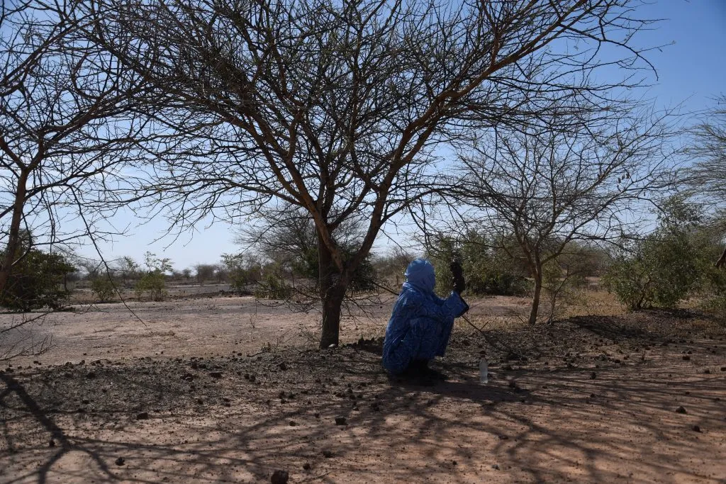 A local farmer sits below a tree in Niger.
