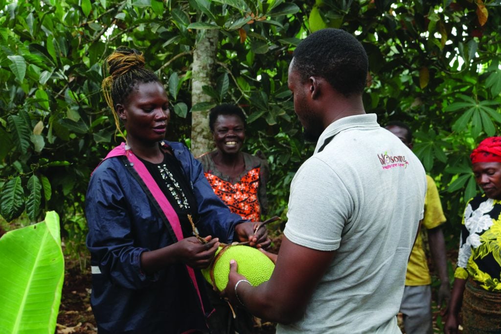 A woman measures a jackfruit.