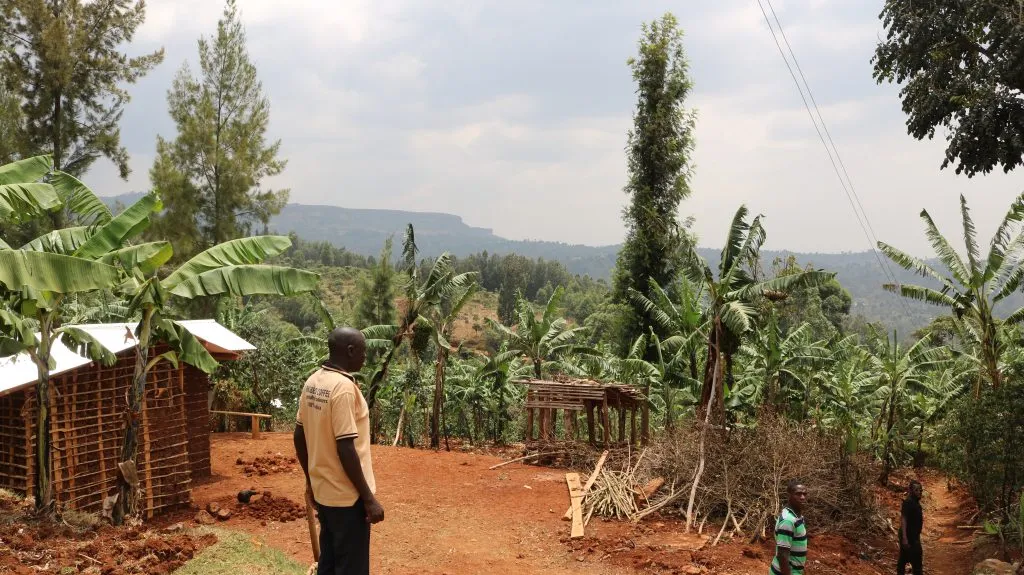 A man in yellow t-shirt looks across coffee plantation to mountain ridges in the distance.