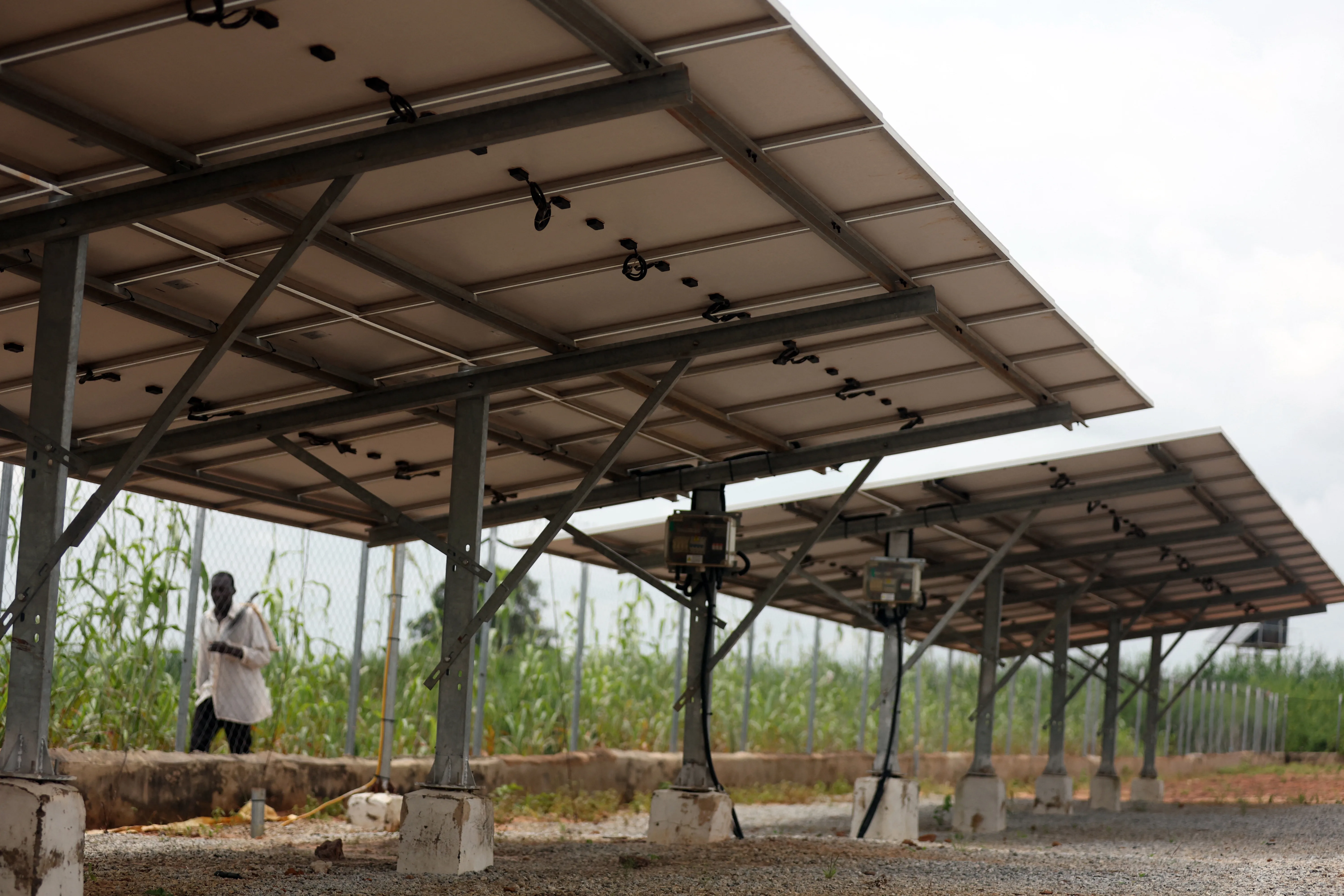 Nigeria’s shift to renewables picks up momentum