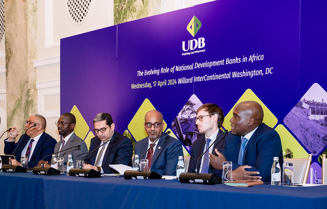 UDB champions cross border collaboration for stronger sustainable development impact