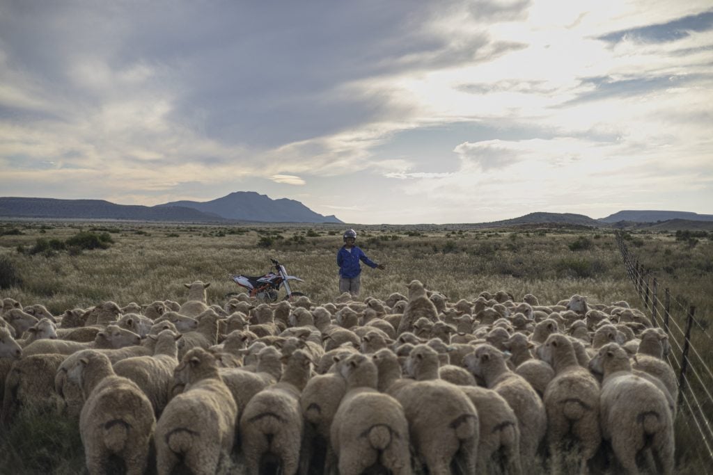 Food crises highlight need for action on agribusiness