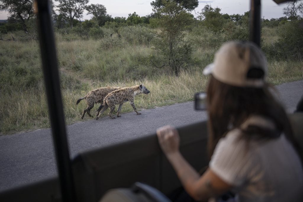 Kruger National Park faces a tough balancing act between tourism and conservation