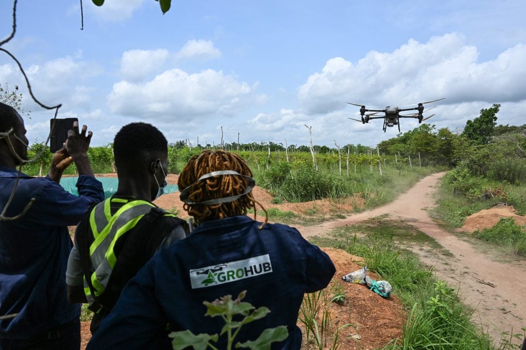 How AI can help Africa's youth to drive agricultural change