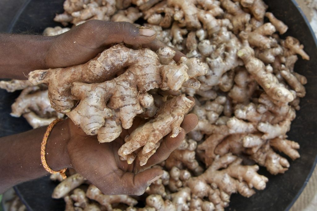 Spice trade aims for galactic growth with Horizon investment
