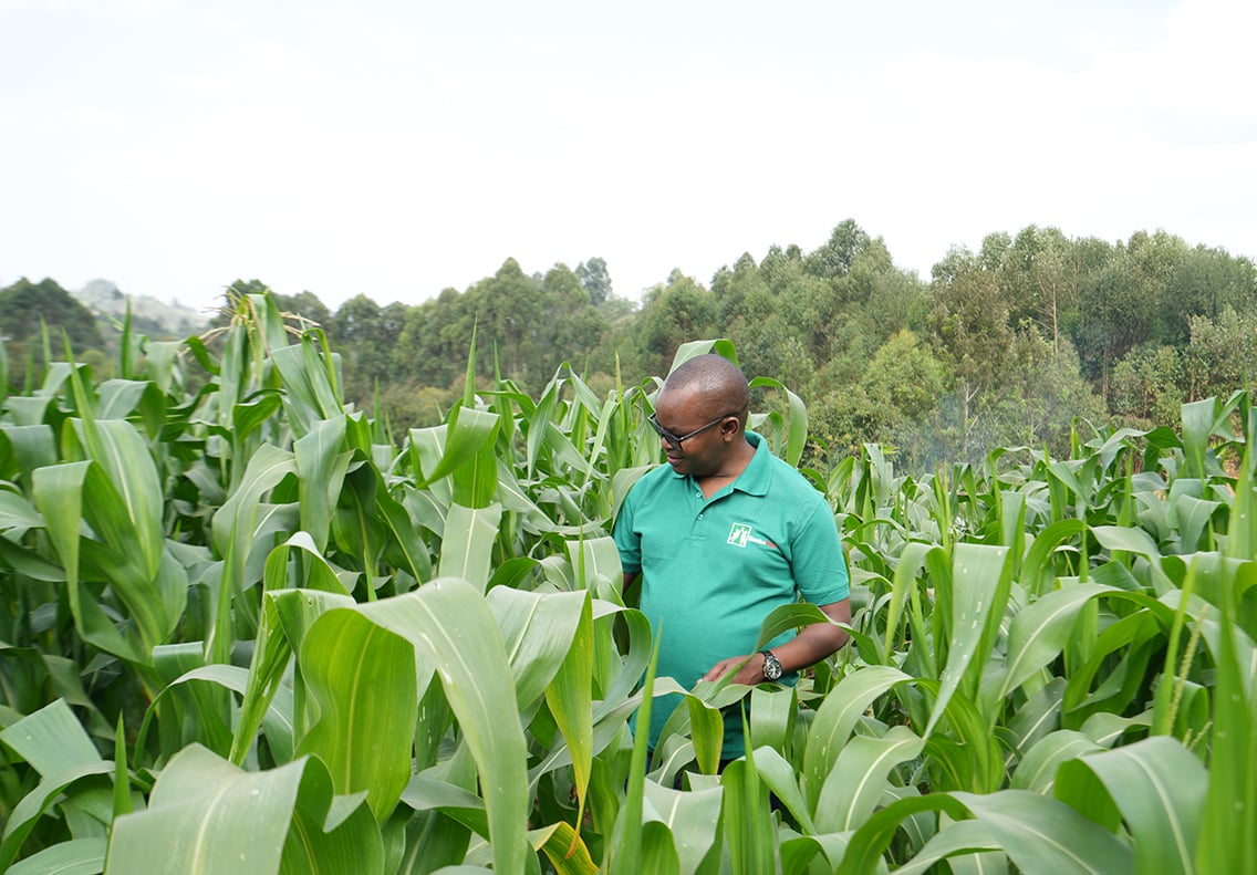 Boost Africa Initiative: catalysing innovation and enterprise across the continent