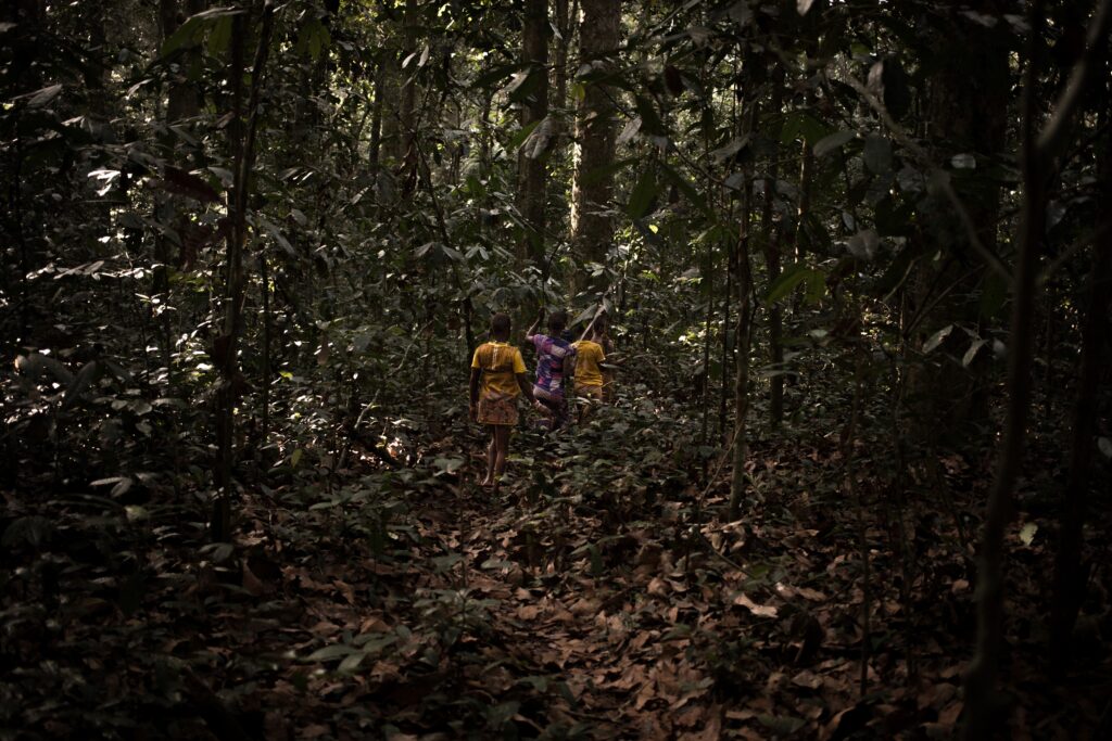 The case for an African-centric sustainability index