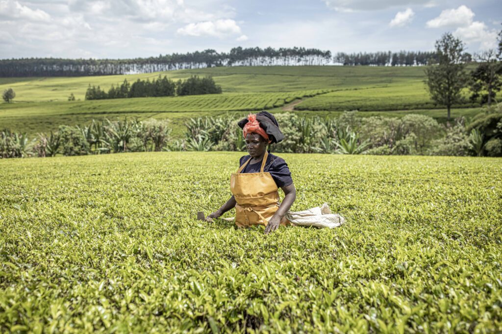Are Africa-China relations helping over 1 billion women?
