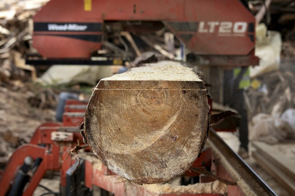 New investor puts down roots in South Africa's forestry industry