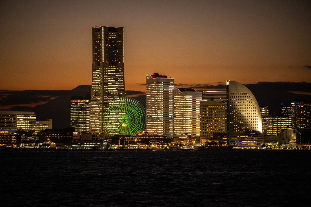 Japan and Africa look to strengthen ties at Yokohama’s TICAD