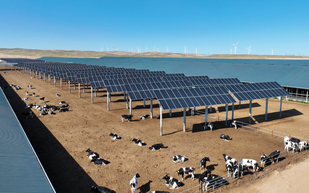 After $50bn pledge, can China go green in Africa?