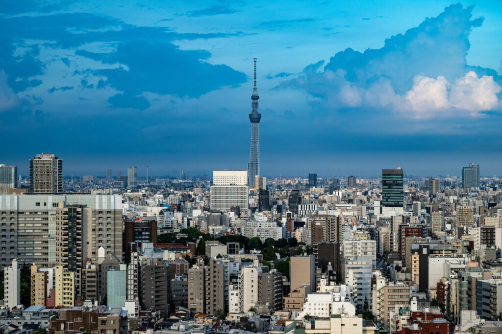 Africa looks to Japan as a source of capital