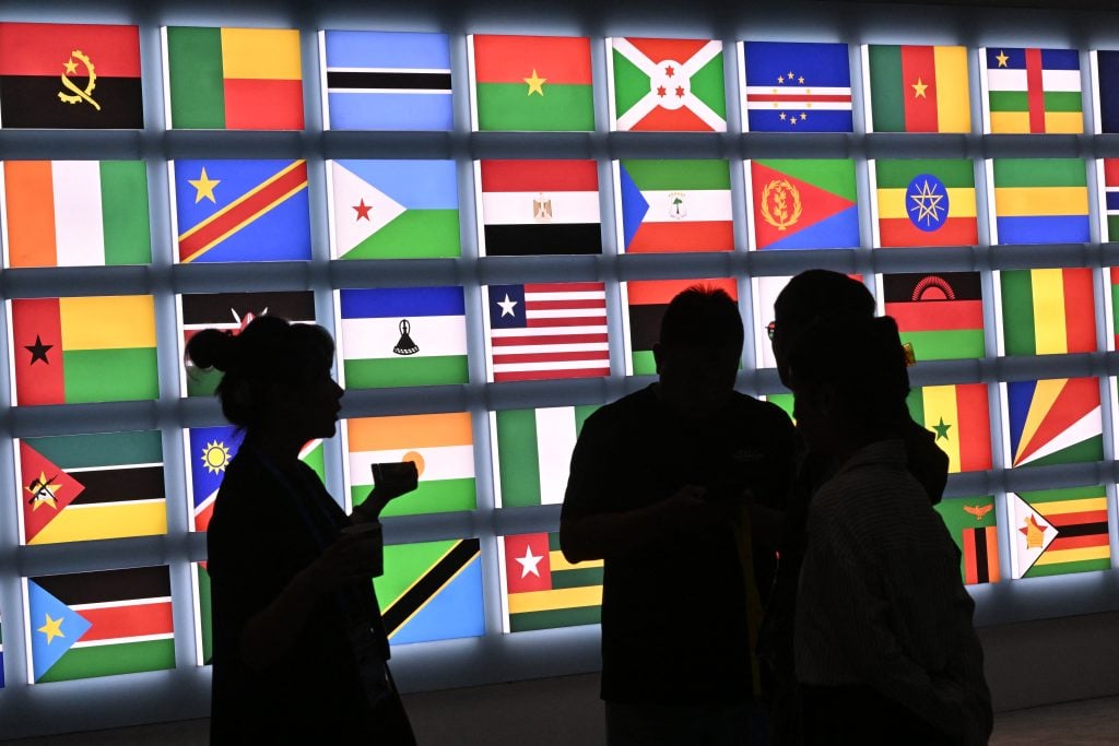 US's African diaspora urged to step up as Trump shuns continent