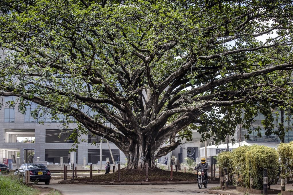 Would-be philanthropists pursue profits as grant model fades