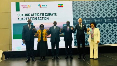Africa's climate pivot: AUDA-NEPAD and the continent's leadership