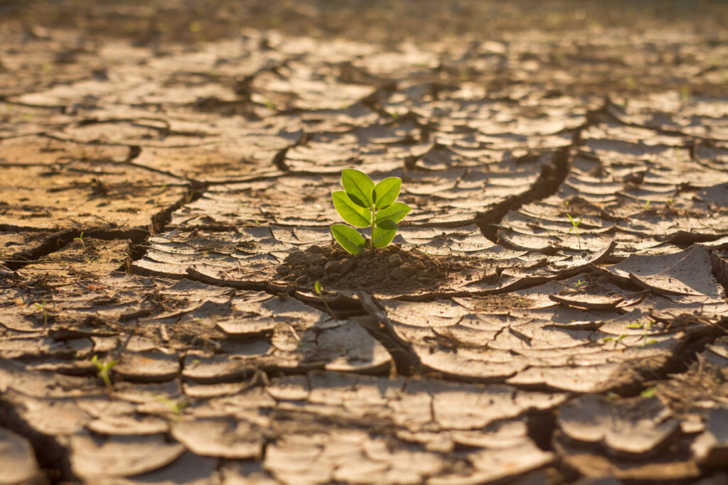 Financing climate change in Africa