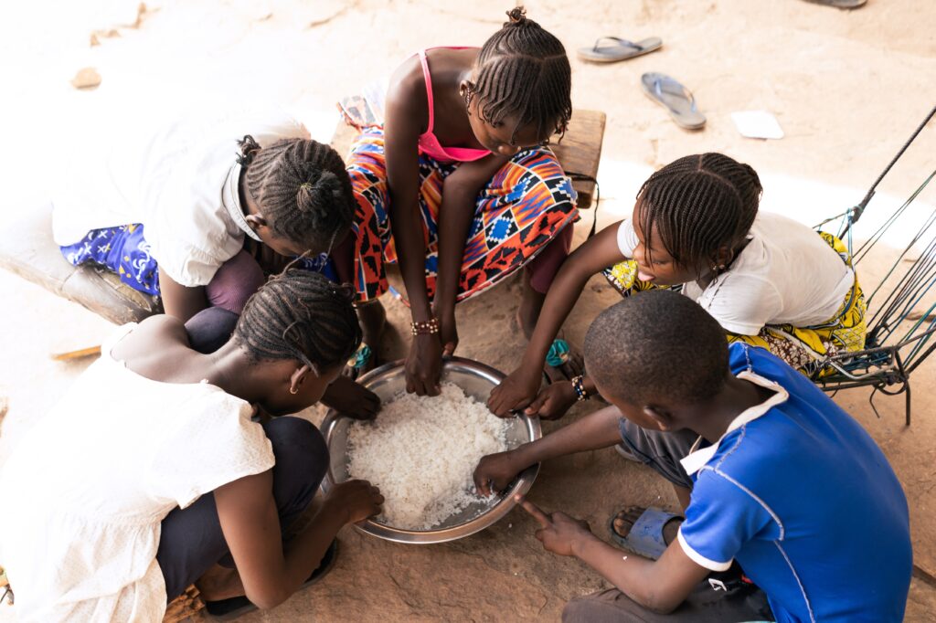 How can a food crisis be avoided in Africa?