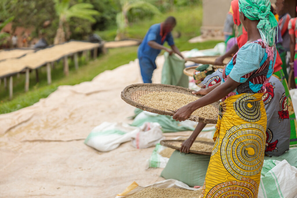 ‘Africa must substitute food imports by producing locally’