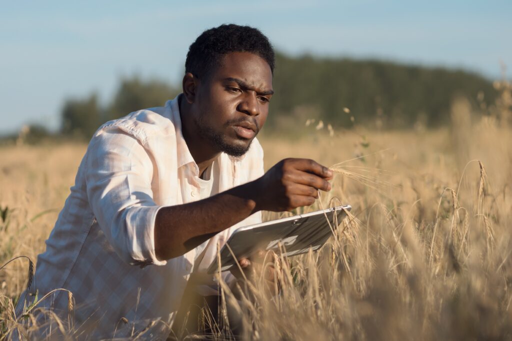 Can AI address Africa’s agricultural trade deficit?