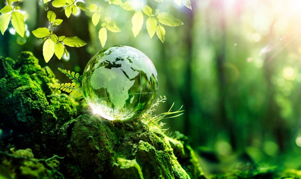 Carbon trading offers rich rewards for Africa
