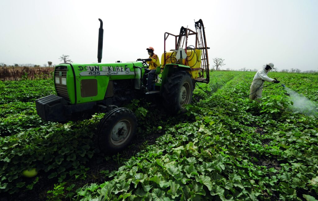 Agriculture in Senegal: from subsistence to business