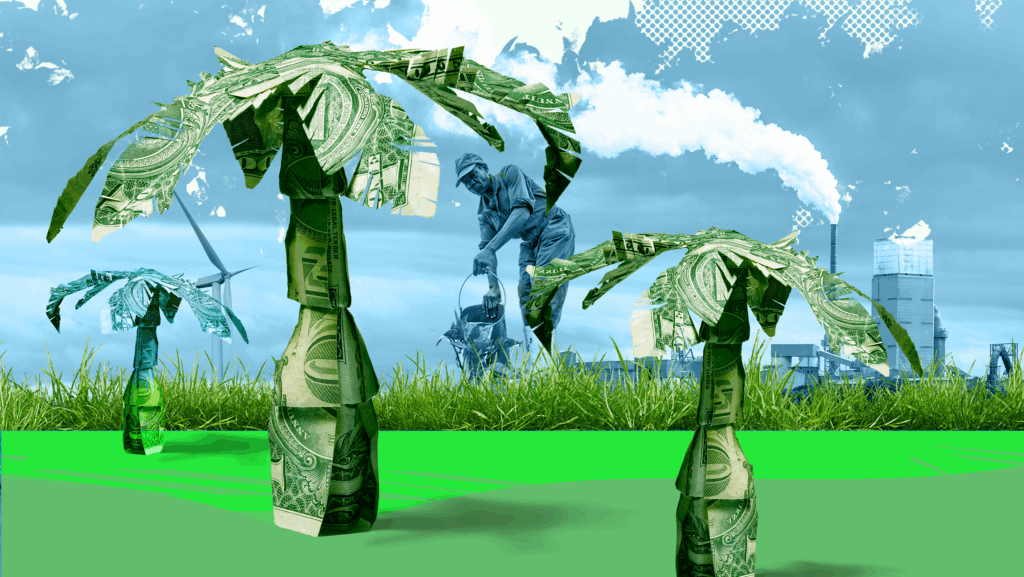 How can Africa get a fair price for its carbon credits?