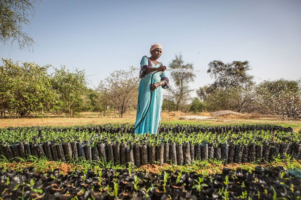 Africa’s carbon market awakening: from potential to power