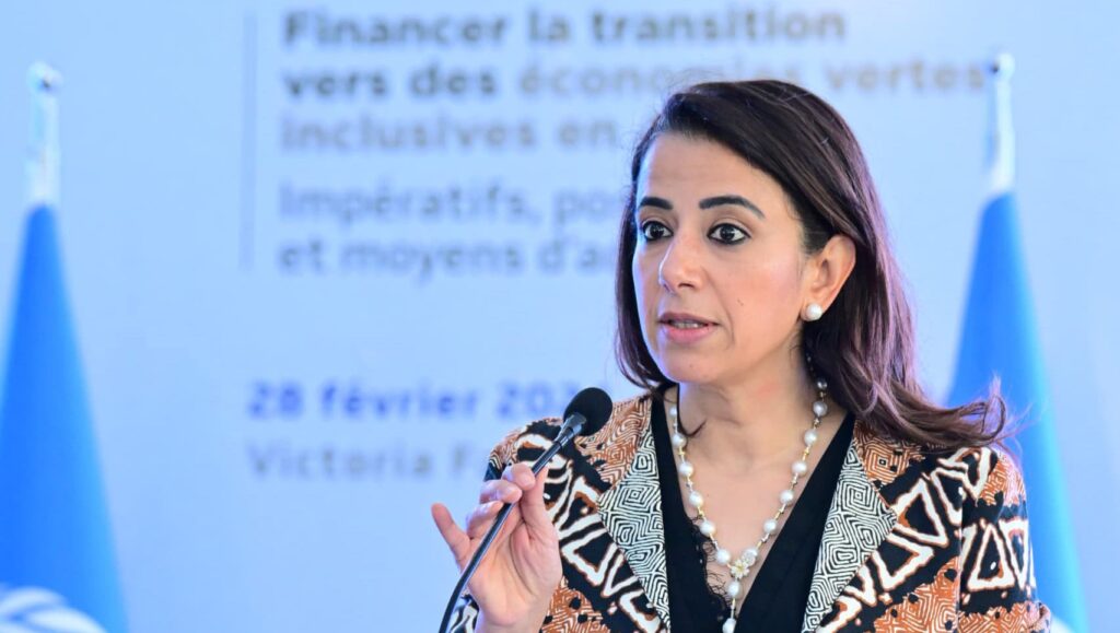 Africa’s resources must counter funding gaps