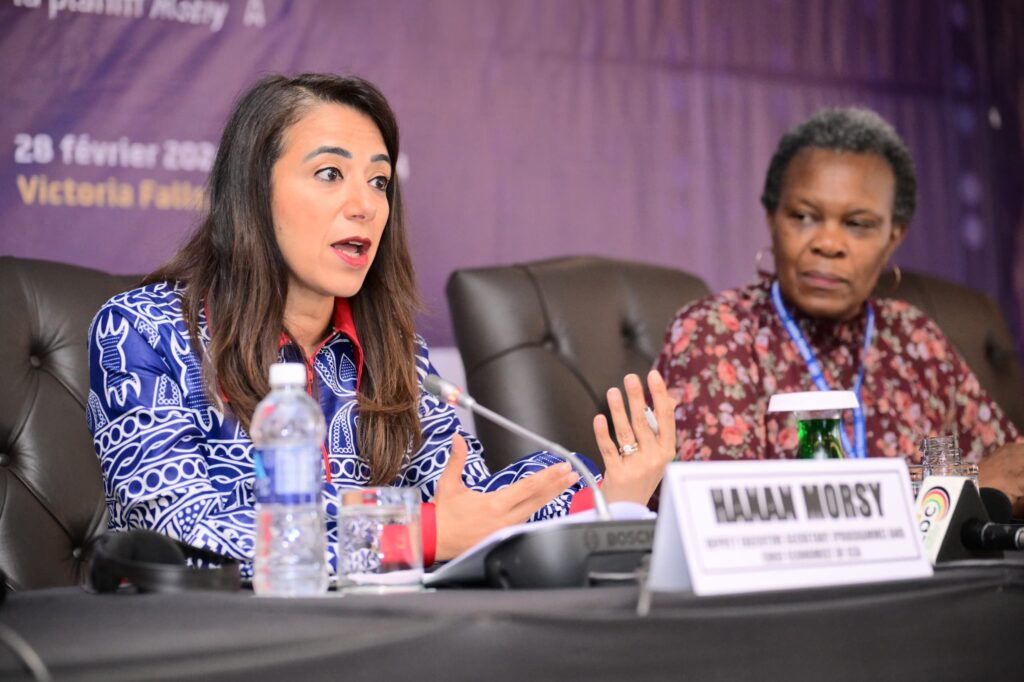Africa’s coordination on tax reform critical for success