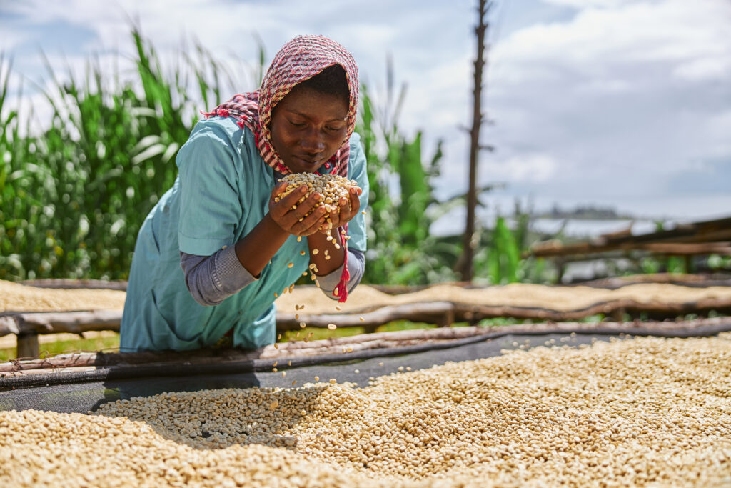Rwanda targets move away from subsistence agriculture