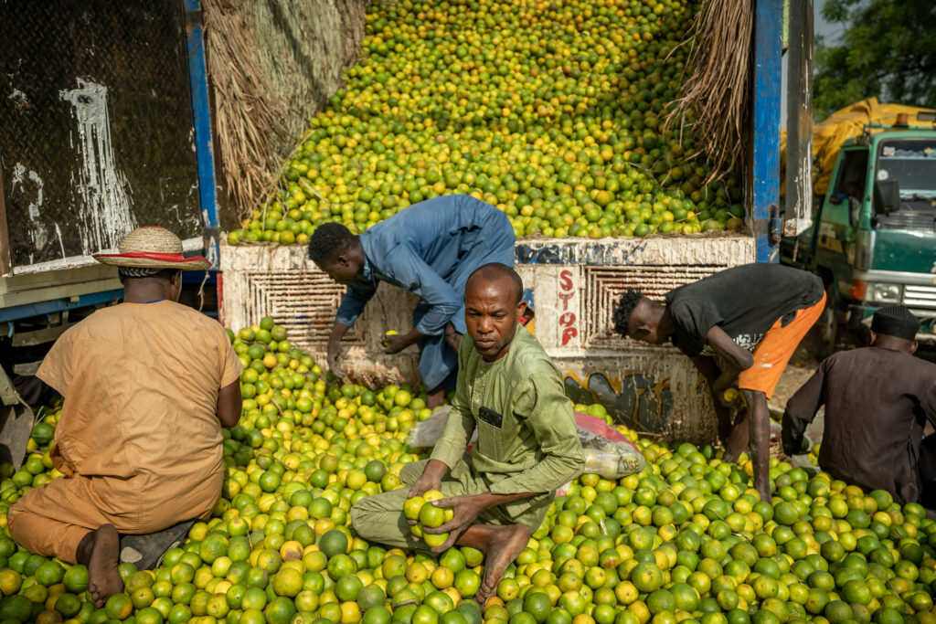 Nigeria’s non-oil exports surge to historic high
