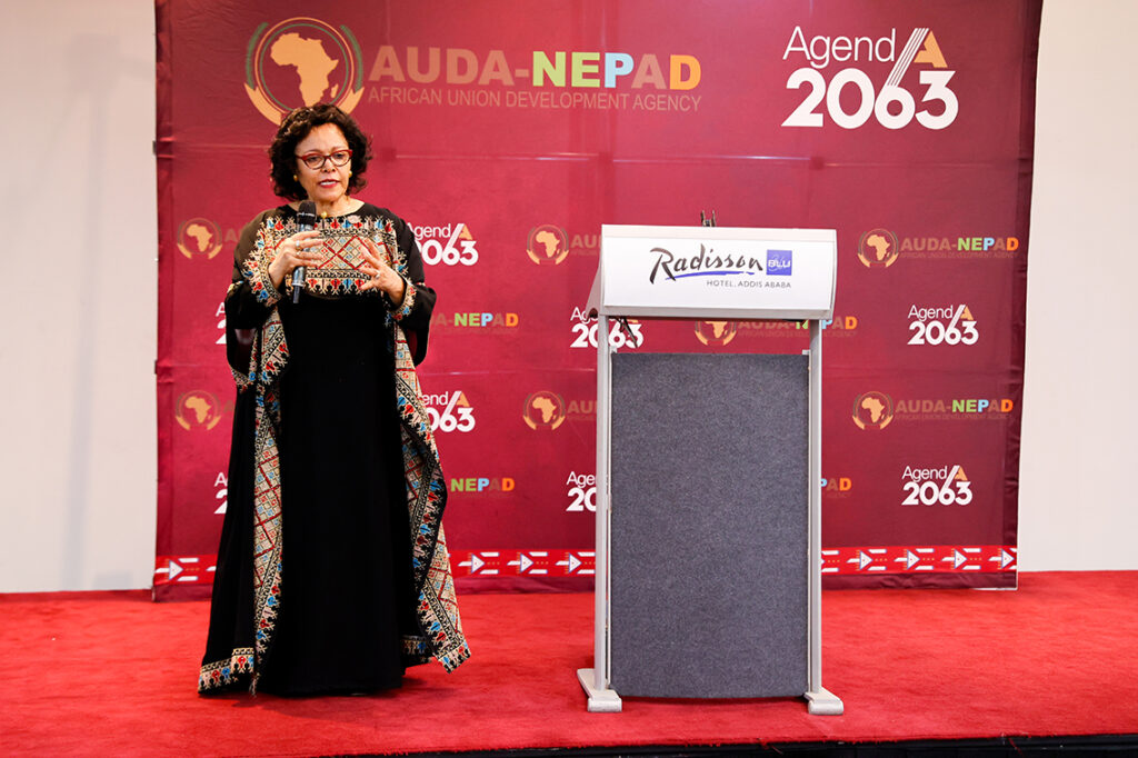 AU Assembly endorses AUDA‑NEPAD priorities, appoints new HSGOC chair and renews CEO mandate