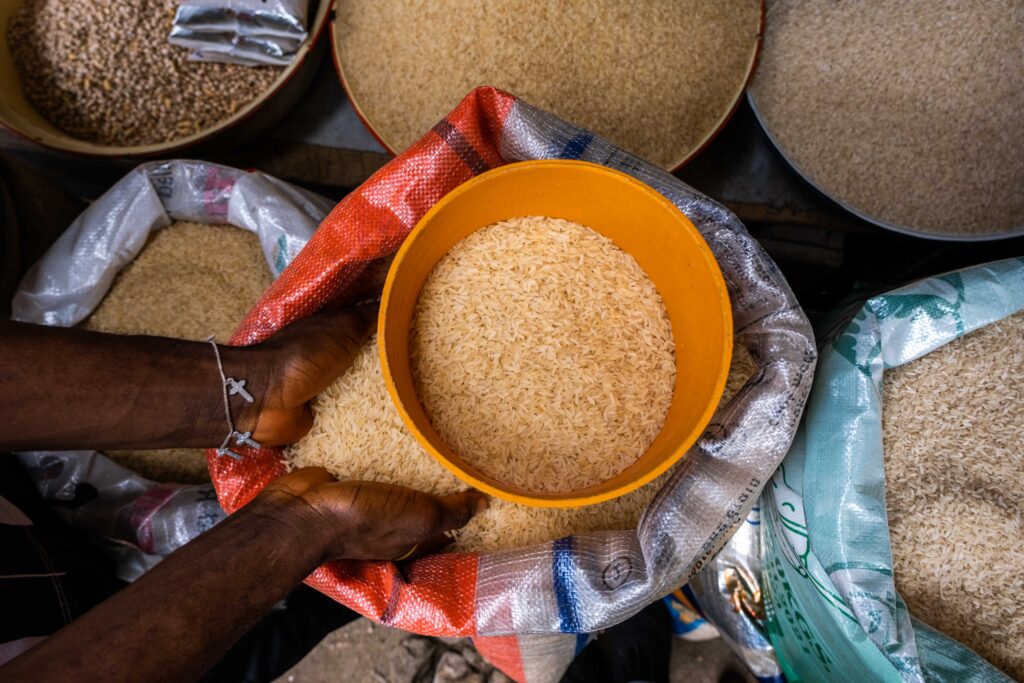 How rice can build prosperity for West Africa