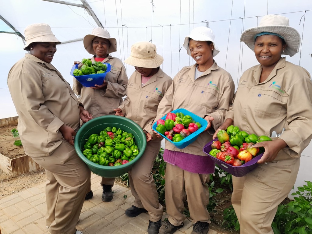 Building Resilient Food Systems From the Ground Up