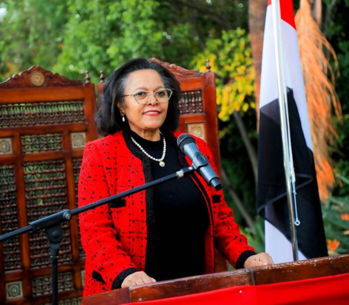 Egypt and AUDA-NEPAD rally South African business ahead of Alamein