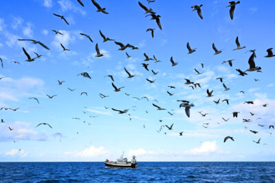 Mombasa ocean meeting secures African gains 