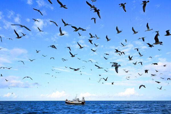 Mombasa ocean meeting secures African gains 