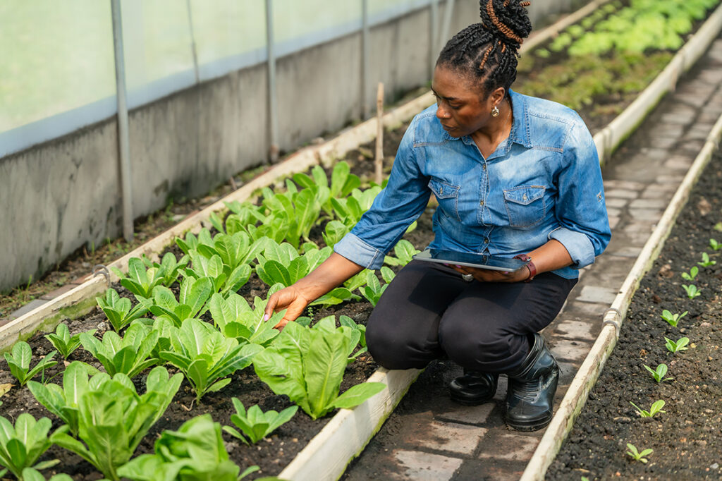 AI-powered AgTech in Africa: growth accelerates but foreign capital still dominates