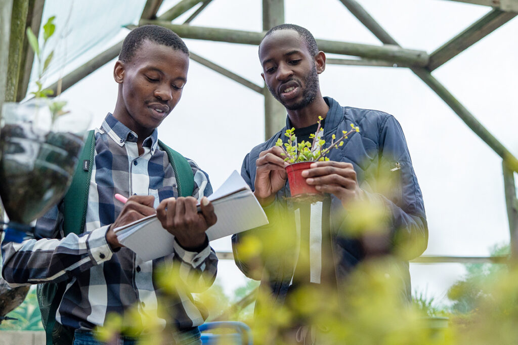 From learning to launching: innovation for African universities
