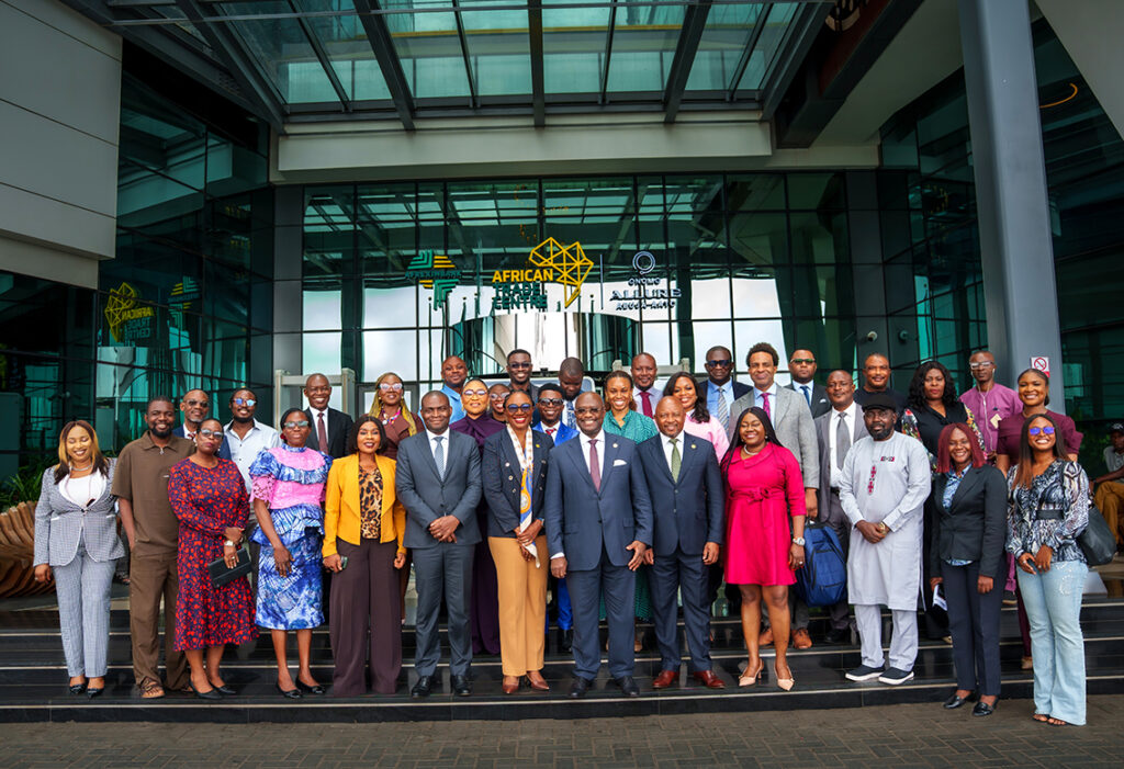 Batteries, payments, health: Afreximbank’s new playbook